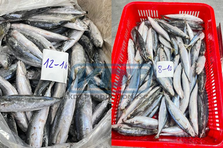 cá nục đông lạnh